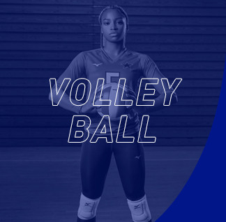 Woman holding volleyball